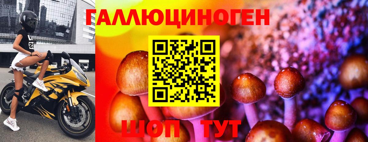 Псилоцибиновые грибы Psilocybe Анжеро-Судженск