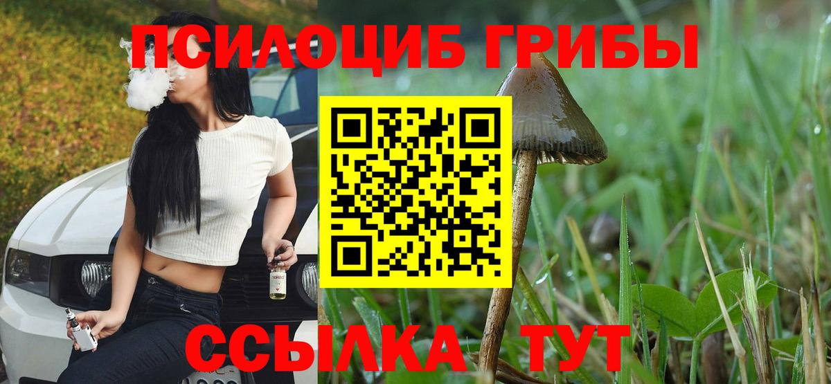 Галлюциногенные грибы мухоморы  Вход с VPN  Анжеро-Судженск  Галлюциногенные грибы GOLDEN TEACHER 